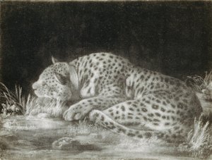 Un tigre (un guépard endormi) - George Stubbs